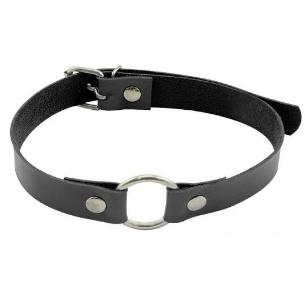 GARGANTILHA COM ARGOLA PEQUENA DOMINATRIXXX GARGANTILHA COM ARGOLA PEQUENA DOMINATRIXXX